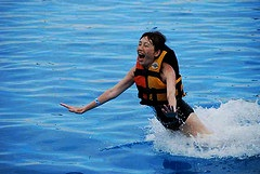 Powered by Oahu dolphins