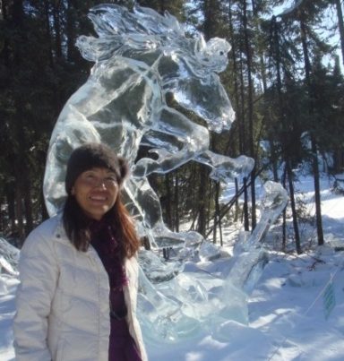 Ice sculptures in Japan